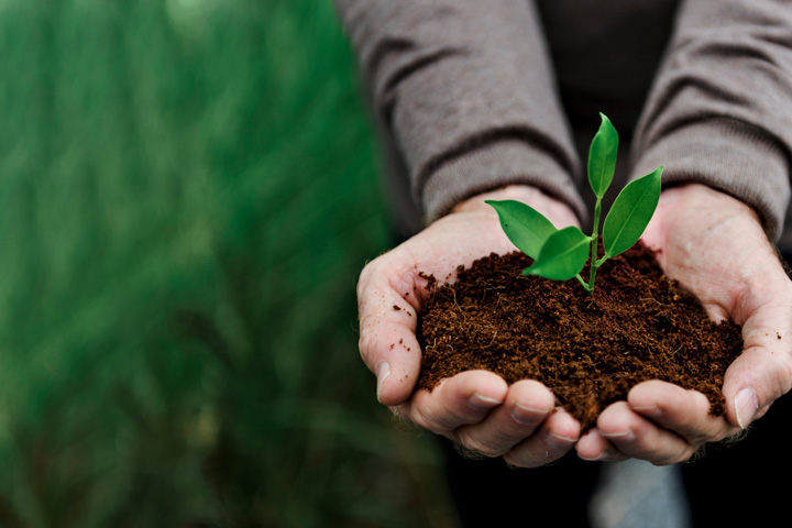 plant_hand